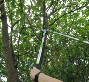 Teleskopske makaze 66-104 cm